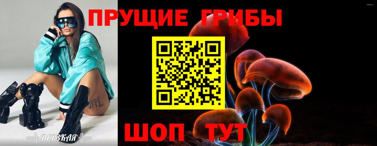 Псилоцибиновые грибы мухоморы Трёхгорный